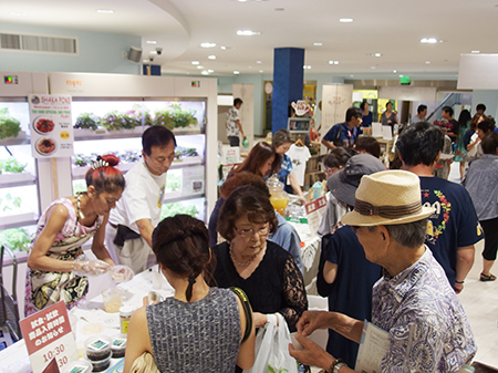 111-ハワイプロジェクトワークショップ2016