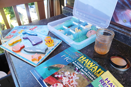 シェラトンマウイ内 ハワイアンマリンライフ・ハレ