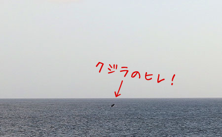 スターオブホノルル サンセットディナークルーズ