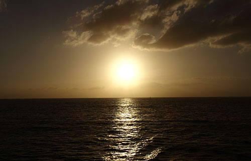 スターオブホノルル サンセットディナークルーズ