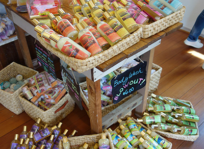 ホノルルフェスティバル2016