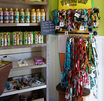 ホノルルフェスティバル2016