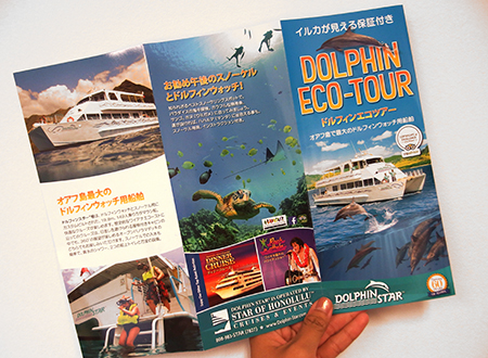 ワイルドドルフィンウォッチ BBQ＆スノーケル