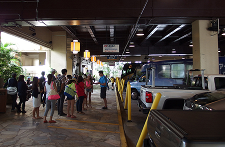 ワイルドドルフィンウォッチ BBQ＆スノーケル