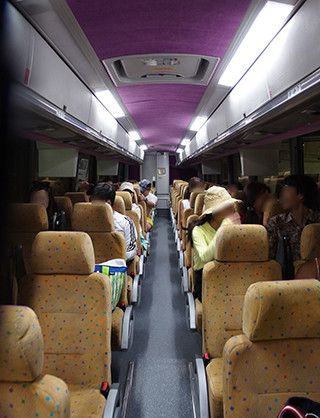 ワイルドドルフィンウォッチ BBQ＆スノーケル