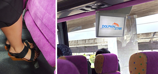 ワイルドドルフィンウォッチ BBQ＆スノーケル