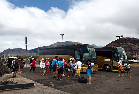ワイルドドルフィンウォッチ BBQ＆スノーケル