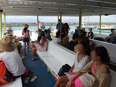 ワイルドドルフィンウォッチ BBQ＆スノーケル