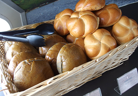 ワイルドドルフィンウォッチ BBQ＆スノーケル