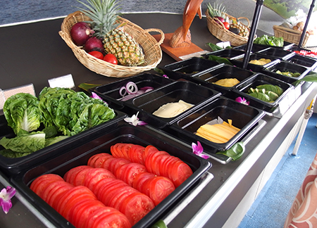 ワイルドドルフィンウォッチ BBQ＆スノーケル