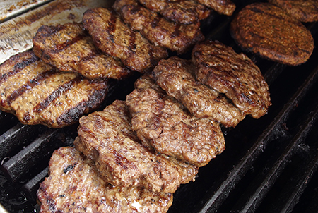 ワイルドドルフィンウォッチ BBQ＆スノーケル