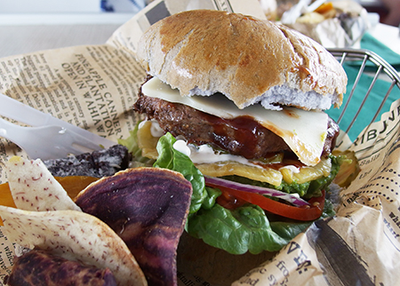 ワイルドドルフィンウォッチ BBQ＆スノーケル