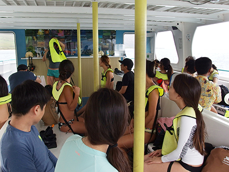 ワイルドドルフィンウォッチ BBQ＆スノーケル