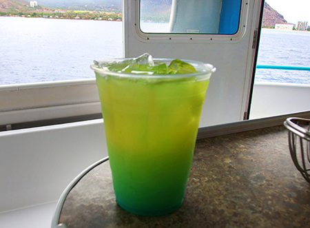 ワイルドドルフィンウォッチ BBQ＆スノーケル