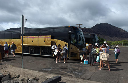 ワイルドドルフィンウォッチ BBQ＆スノーケル