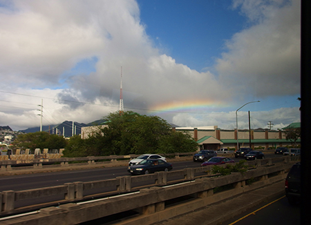 ワイルドドルフィンウォッチ BBQ＆スノーケル