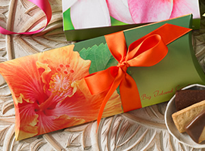 ビッグアイランドキャンディーズ 2016夏のコレクション