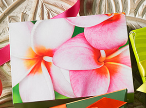 ビッグアイランドキャンディーズ 2016夏のコレクション