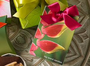 ビッグアイランドキャンディーズ 2016夏のコレクション