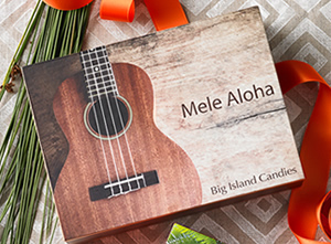 ビッグアイランドキャンディーズ 2016夏のコレクション