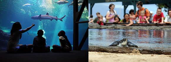 ウクレレフェスティバル」主催のガラパーティ