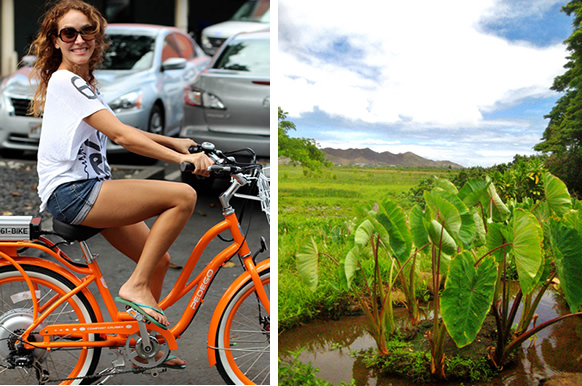 ぺデゴカイルア 電動自転車