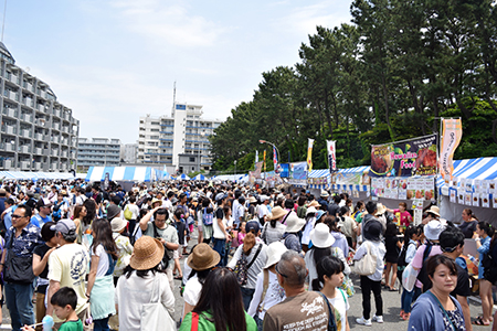 111-HAWAIIプロジェクト 茅ヶ崎でPR活動