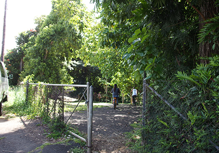 ペデゴ電気自転車でカイルア＆ラニカイをサイクリング