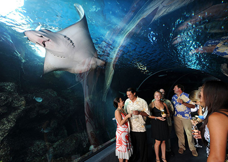 マウイオーシャンセンター