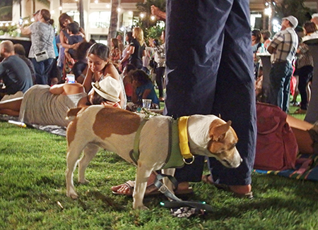 ホノルルバーベキュー＆ブルースフェスティバル