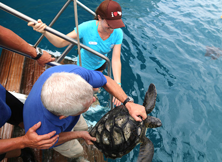 マウイオーシャンセンター海洋研究所