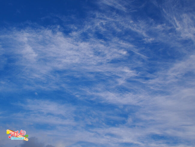 マーチ フォー ベイビーズ.jpg