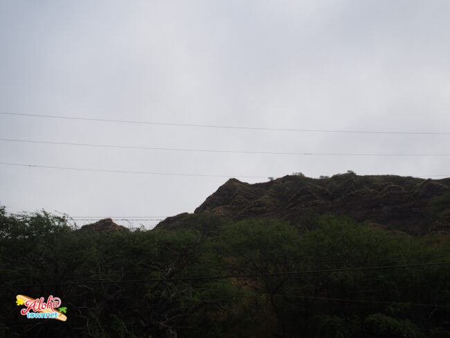 マーチ フォー ベイビーズ.jpg