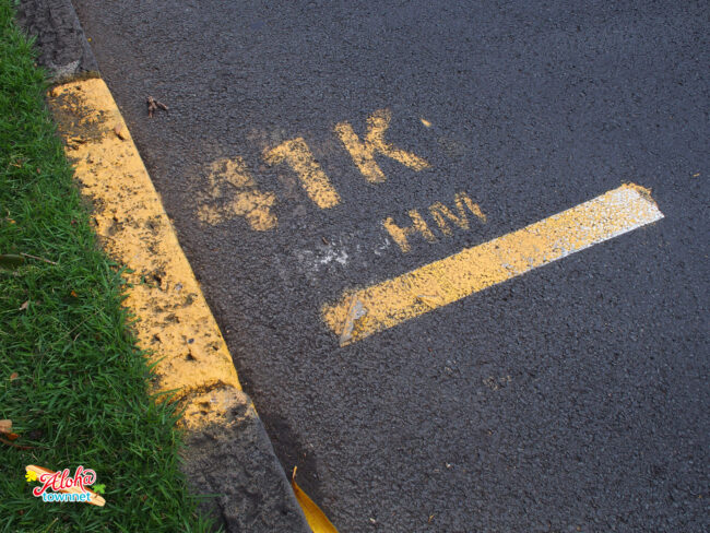 マーチ フォー ベイビーズ.jpg