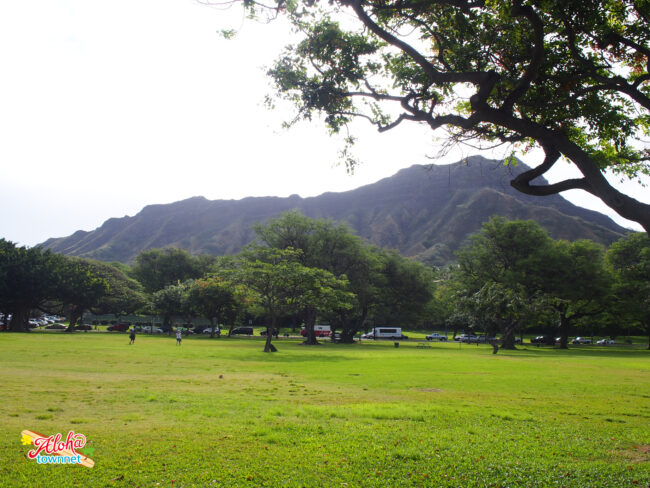 マーチ フォー ベイビーズ.jpg