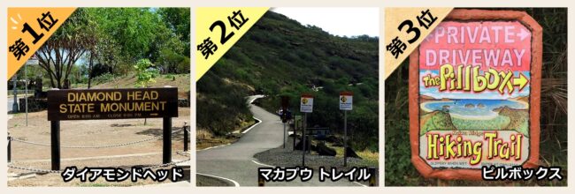 トレッキング部門