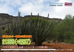 11月第4週のハワイ 【ハワイの気になる週一ニュース】