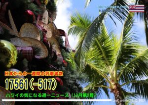 12月第2週のハワイ 【ハワイの気になる週一ニュース】