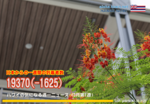 3月第1週のハワイ 【ハワイの気になる週一ニュース】
