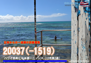 12月第2週のハワイ 【ハワイの気になる週一ニュース】