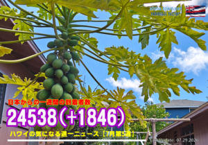 7月第5週のハワイ 【ハワイの気になる週一ニュース】